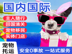 包头航空空运国际宠物托运 【国